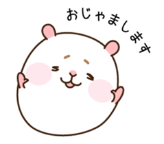 [Animated Stickers] Cute hamster "DANGO" sticker #14749017