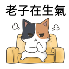 cute cute lovely cat sticker #14749422