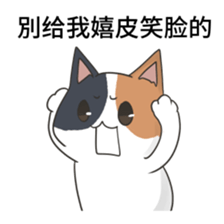 cute cute lovely cat sticker #14749425