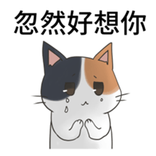 cute cute lovely cat sticker #14749426