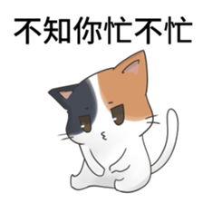 cute cute lovely cat sticker #14749427