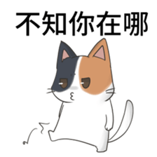 cute cute lovely cat sticker #14749428