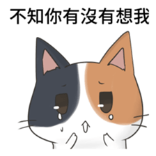 cute cute lovely cat sticker #14749429