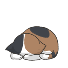 our lovely cat2 sticker #14752134