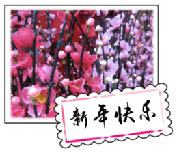 Chinese New Year greeting card sticker #14752147