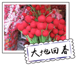 Chinese New Year greeting card sticker #14752155