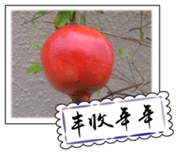 Chinese New Year greeting card sticker #14752156