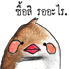 "Kaolia"The Fantastic Bird