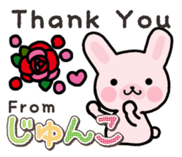 Ham-Usa for Jyunko sticker #14759489