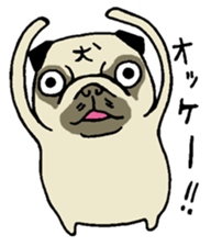 an ugly but cute pug sticker #14763150