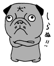 an ugly but cute pug sticker #14763151
