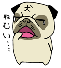 an ugly but cute pug sticker #14763167