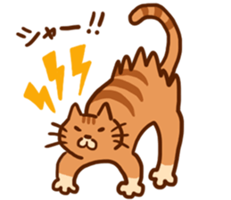 Super fantastic cat !! sticker #14765041