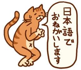 Super fantastic cat !! sticker #14765064