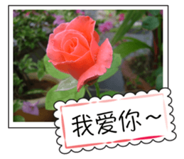 Blessing of flowers sticker #14767294