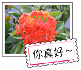 Blessing of flowers sticker #14767296