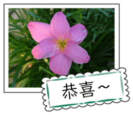 Blessing of flowers sticker #14767299