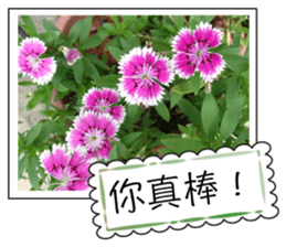 Blessing of flowers sticker #14767302