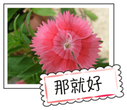 Blessing of flowers sticker #14767307