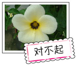 Blessing of flowers sticker #14767308