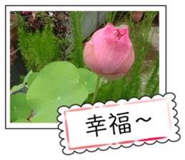 Blessing of flowers sticker #14767309