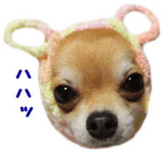 Sticker of Cereza 9 sticker #14767557