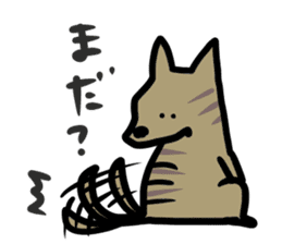 japanese dog breed , kai sticker #14767759