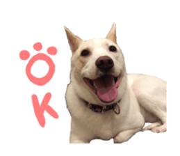 WhitedogSticker sticker #14769310