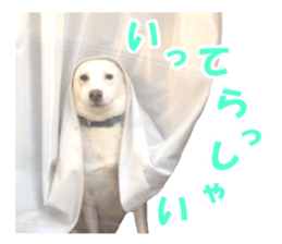 WhitedogSticker sticker #14769312