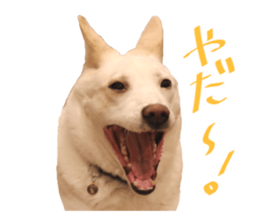 WhitedogSticker sticker #14769316