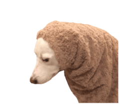 WhitedogSticker sticker #14769328