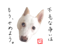 WhitedogSticker sticker #14769330
