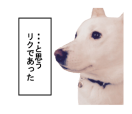 WhitedogSticker sticker #14769333