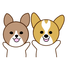 Jack Russell Terrier & Corgi