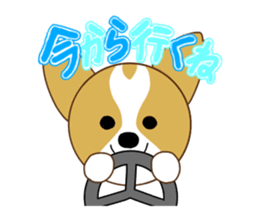 Jack Russell Terrier & Corgi sticker #14770610