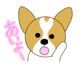 Jack Russell Terrier & Corgi sticker #14770615