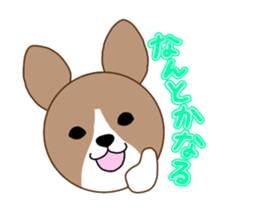 Jack Russell Terrier & Corgi sticker #14770642
