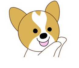 Jack Russell Terrier & Corgi sticker #14770645