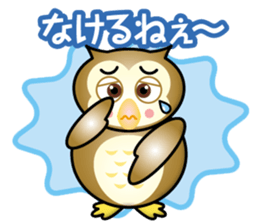 owl boy sticker #14772416