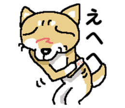 Mr. Shiba 6 sticker #14772614