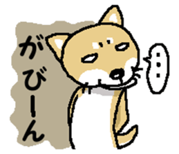 Mr. Shiba 6 sticker #14772618
