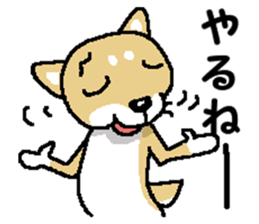 Mr. Shiba 6 sticker #14772628