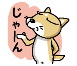 Mr. Shiba 6 sticker #14772631