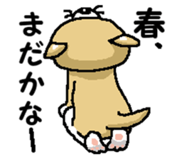 Mr. Shiba 6 sticker #14772633