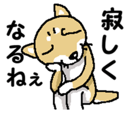 Mr. Shiba 6 sticker #14772636