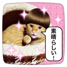 katsura cat2 sticker #14773324