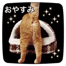 katsura cat2 sticker #14773325