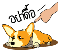 Van and his Corgi sticker #14774370