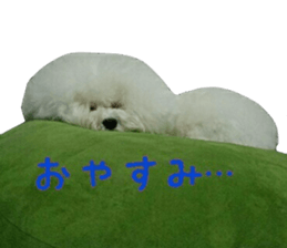 toypoodle shirasu sticker #14774489