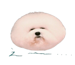 toypoodle shirasu sticker #14774490